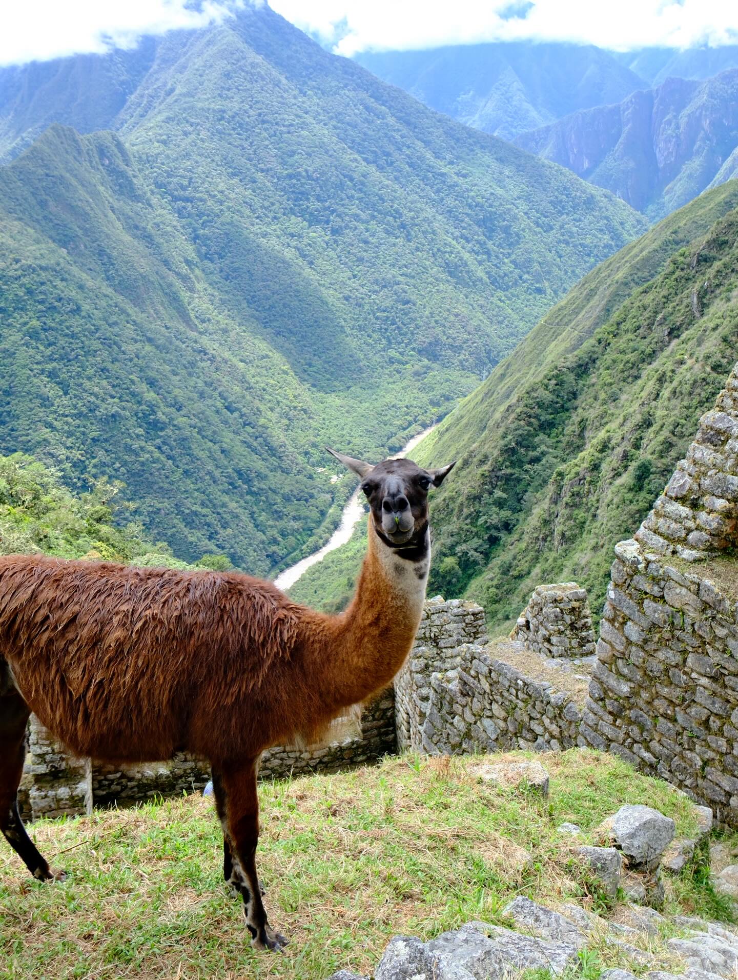 Vista de Camino Inca